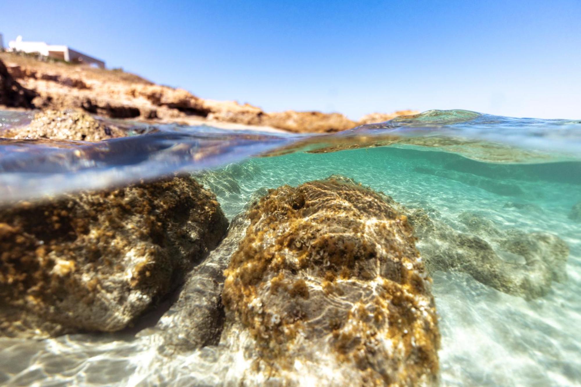 Marzamemi Terrazza Vista Mare Daire Dış mekan fotoğraf